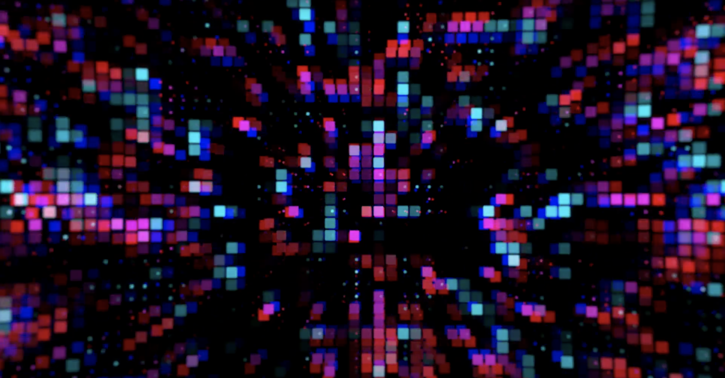 Screen Shot 2021-11-16 at 11.22.25 AM.png