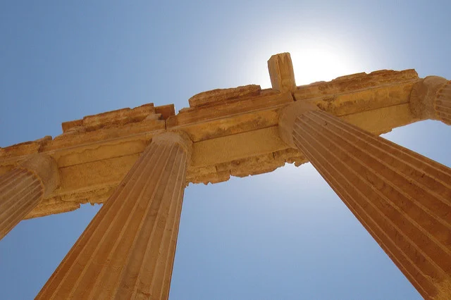 New Palmyra by Emily Jaeger