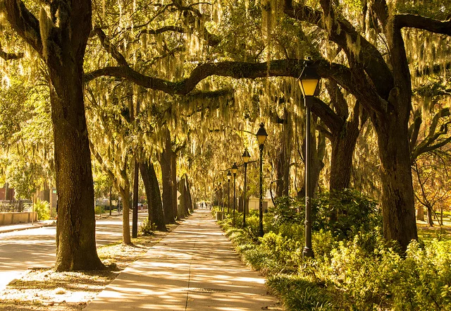 Our Last Weekend in Savannah by Anna Weaver and Stephen "Doc" Hutchings [text version]