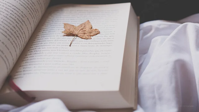 Notes from Crew Quarters–Dream Judges