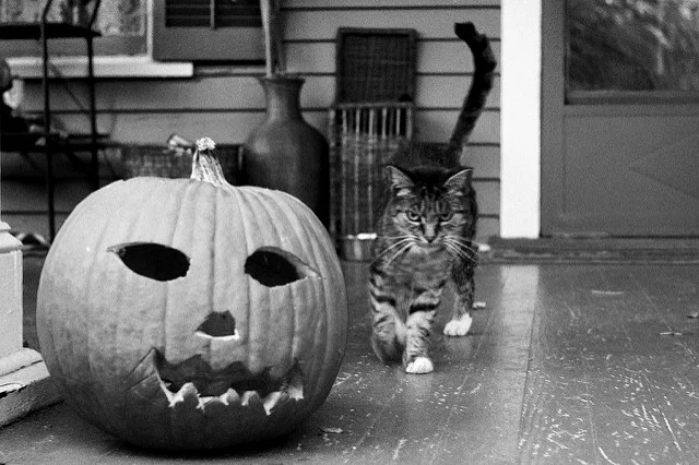 Notes from Crew Quarters: Literary Halloween Costumes