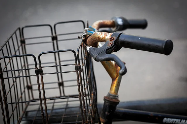 Dear Minnetonka Lake by Elizabeth Tannen