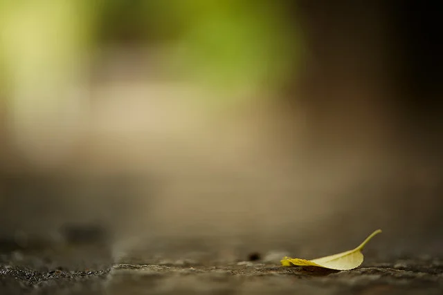 PN Interviews Neutrino Short-Short Prize Judge T. Clutch Fleischmann