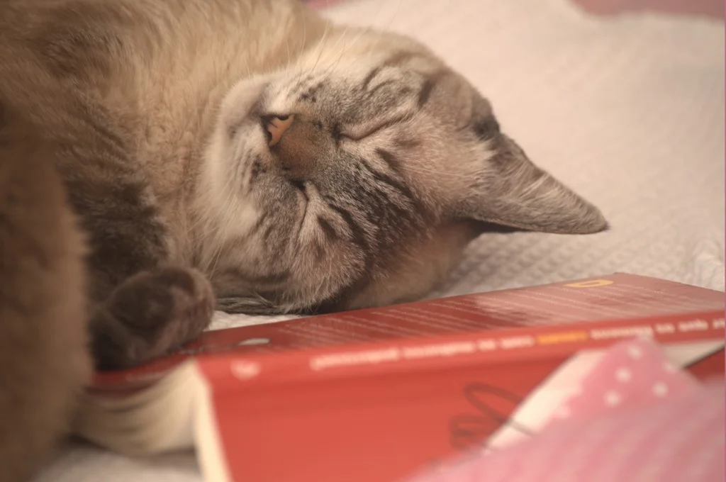 Notes from Crew Quarters: The First Book We Fell in Love With