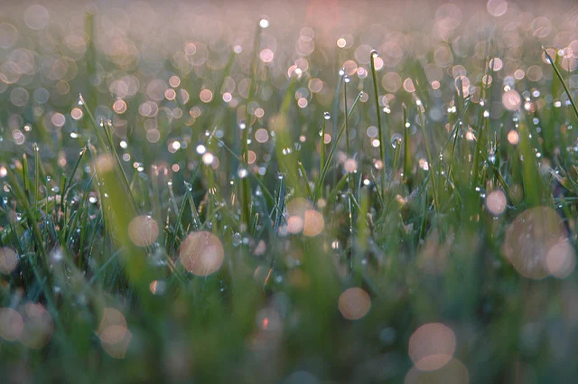Self-Portrait as an Aging Clown Going for an Evening Run on the Summer Solstice by Amorak Huey