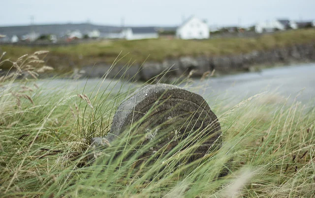 The Mud Doctor by Evan Nicholls