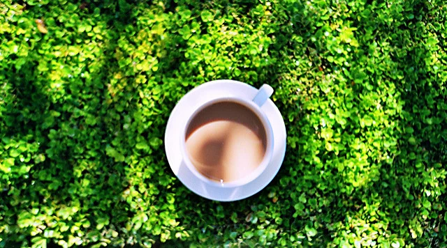 Ursa Major by Michael Serebriakov