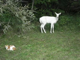 Writers on Writing #1: John McNally