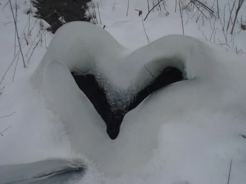 Send us your hybrid essays.