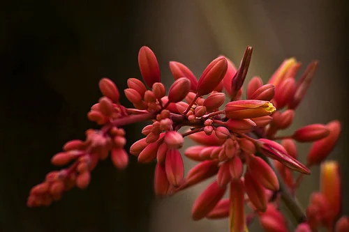 Writers on Writing #16: Linda Sirois