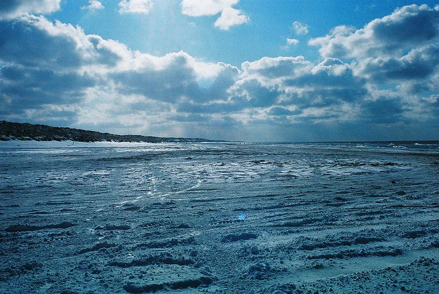 Poetry and nonfiction contest judges selected.