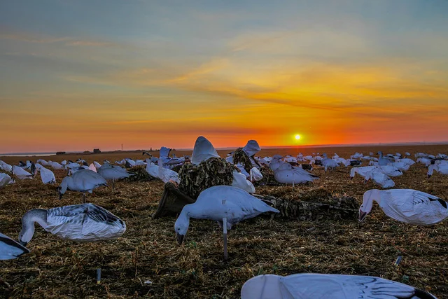 Writers on Writing #29: Mary Elizabeth Pope