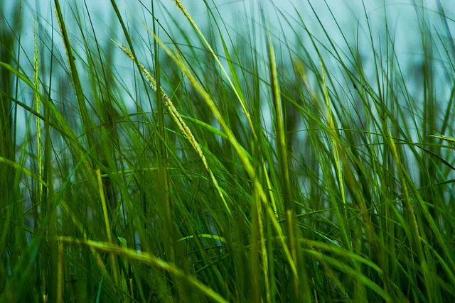 Writers on Writing #30: Julie Marie Wade