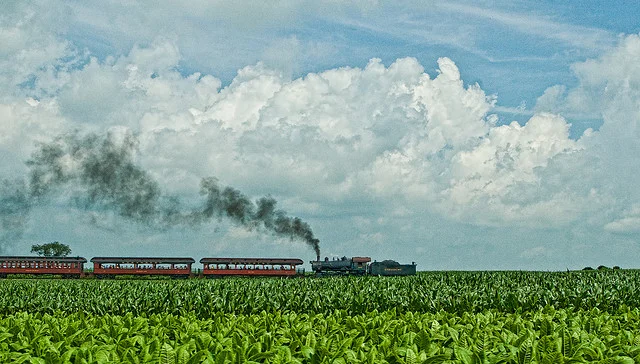 Writers on Writing #34: Tasha Cotter