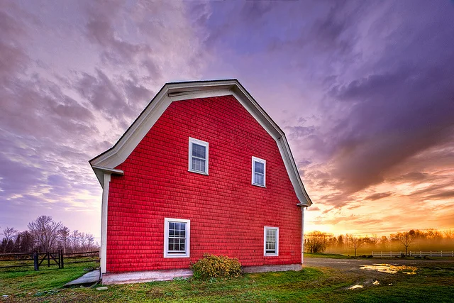 Writers on Writing #36: Julia Shipley