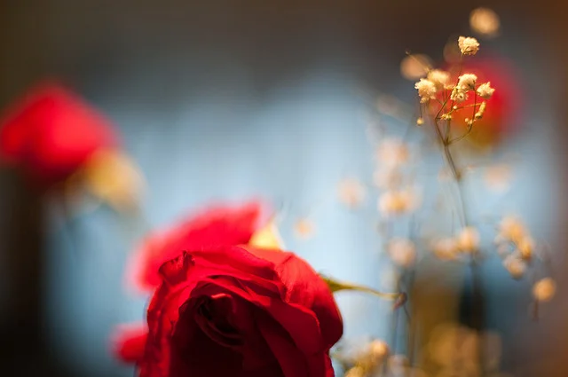 My Father’s Obituary by Ty Stumpf