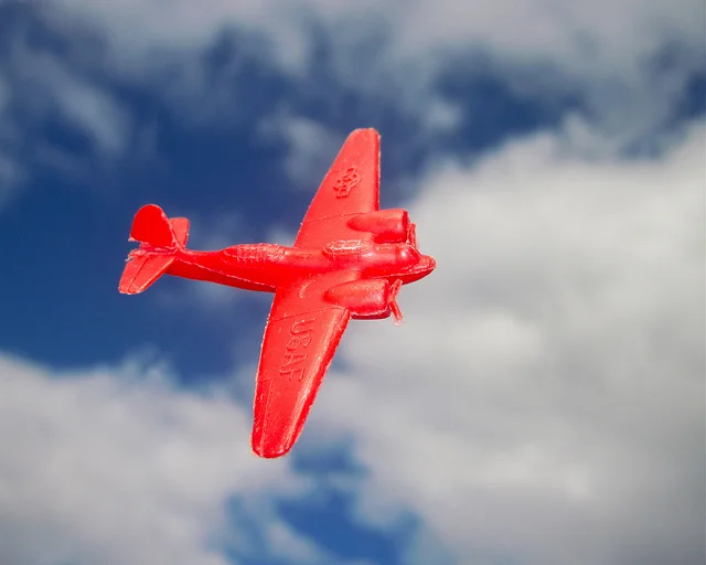 What To Expect When You Are Not Expecting by Allen Woodman