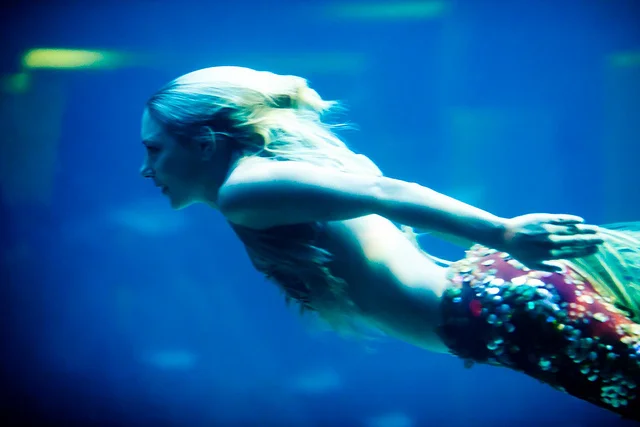 The Belle Isle Mermaid and the Rumrunner by Mary Alice Rapas