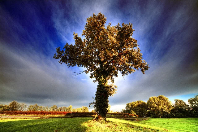 Writers on Writing #41: Nancy Gold