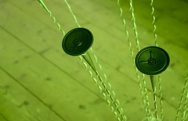 Writers on Writing #44: Forrest Roth