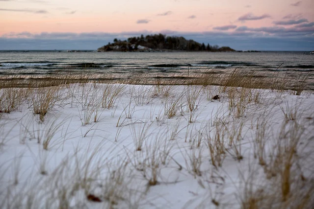 Writers on Writing #61: Lisa Fay Coutley