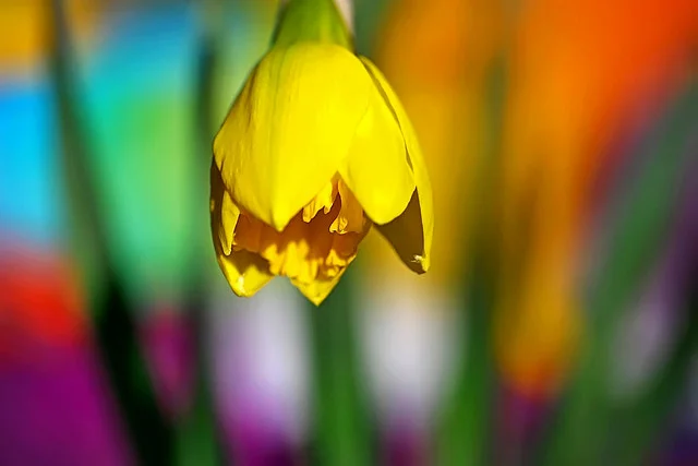 Interview with our prose contest judges, Connie Voisine and Rus Bradburd.