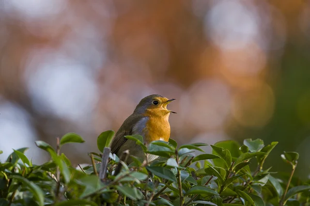 Writers on Writing #74: Donald C. Welch III