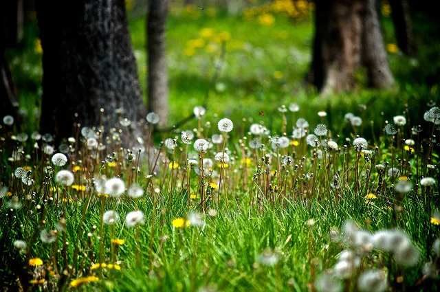 Contest deadlines extended until Friday, March 21.