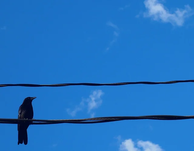 Writers on Writing #77: Jacob M. Appel