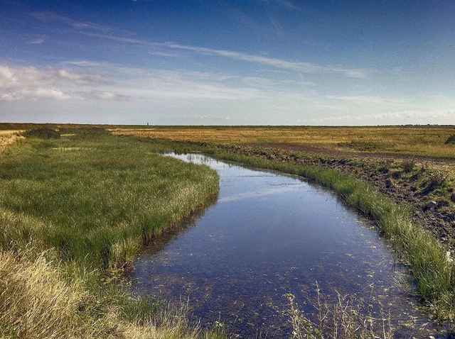 Writers on Writing #79: Rachel Jamison Webster