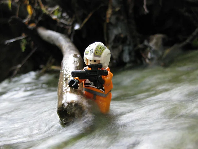 I Said, You Said, Red Said, Blue Said by Tom Rich