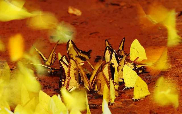 Writers on Writing #83: Amy Scharmann