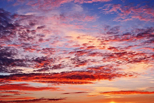 Writers on Writing #89: Jason M. Jones