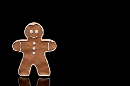 The Gingerbread Man by Donald Illich