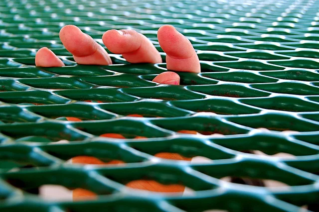 The Eleventh Annual Tuscola County Kissing Contest by Laura Citino