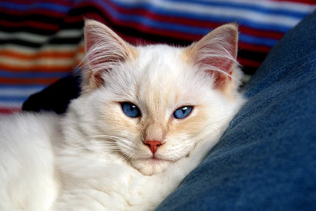 This Young Man’s Father Froze to Death in an Ice Storm. You Won’t Believe What Happened Next by Alex McElroy