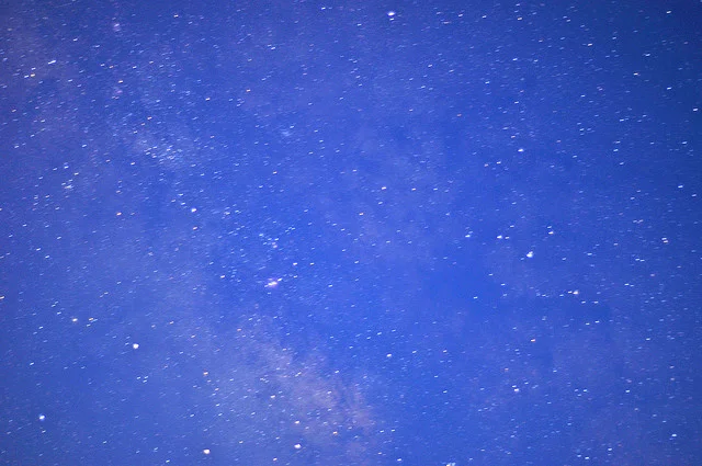 Revenge by Joseph Fasano