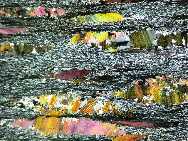 Interview with PN contributor Karen Hays