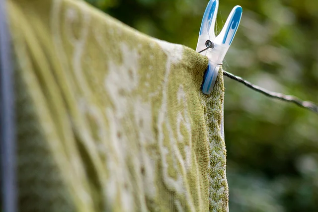 Animal Skin by Dana Diehl