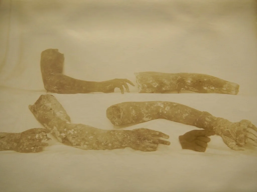 2015 Elinor Benedict Poetry Prize Winner!