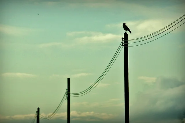 All Laments Are Circles by Catherine Bresner