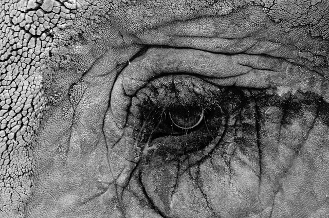 Two Poems by Ashley Keyser