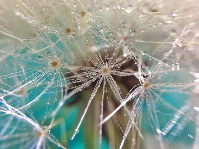 Notes from Crew Quarters: Books We Wish We'd Written