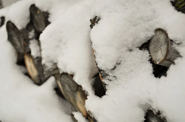 Taking Stock by Kate Partridge