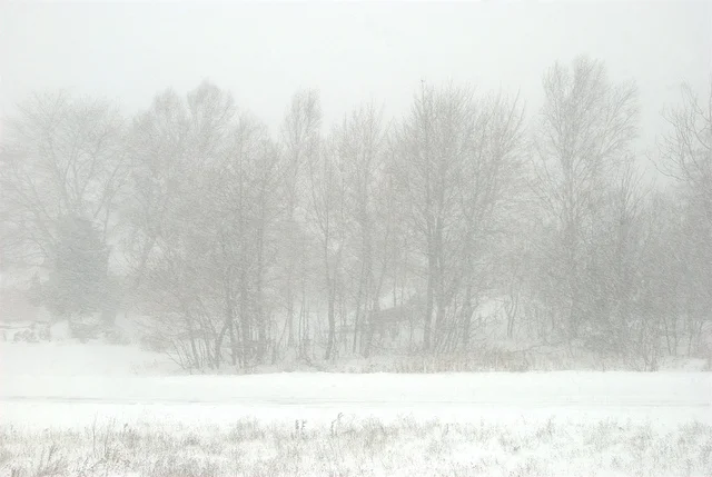 Notes from Crew Quarters--Winter Break Reading