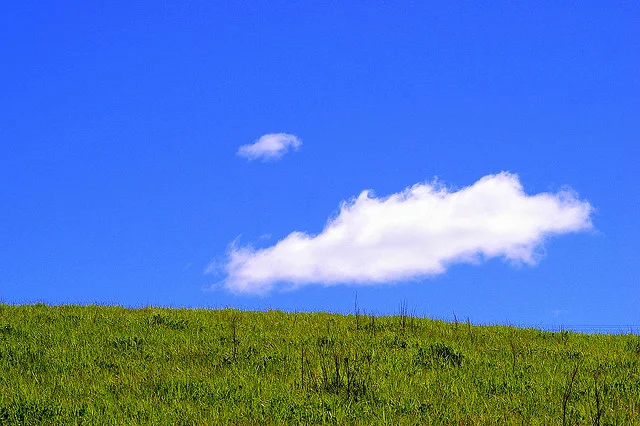 Write an Essay About Your Favorite Family Member by Kate Imbach