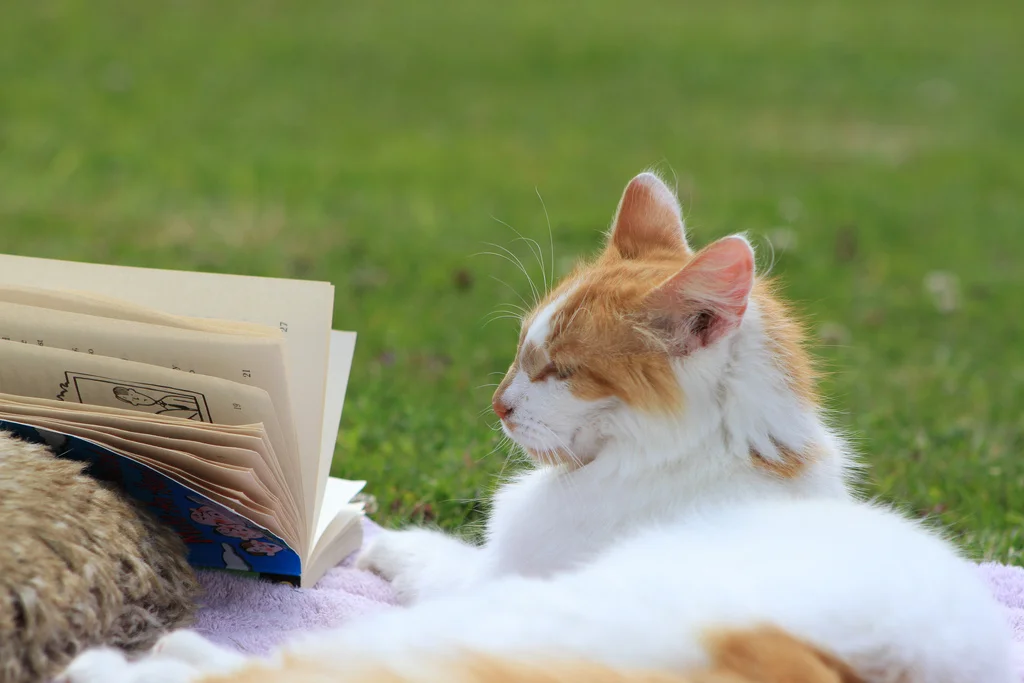 Notes from Crew Quarters: Who's Reading This?