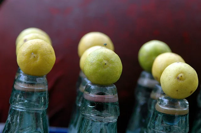 After the War by Willow Schenwar