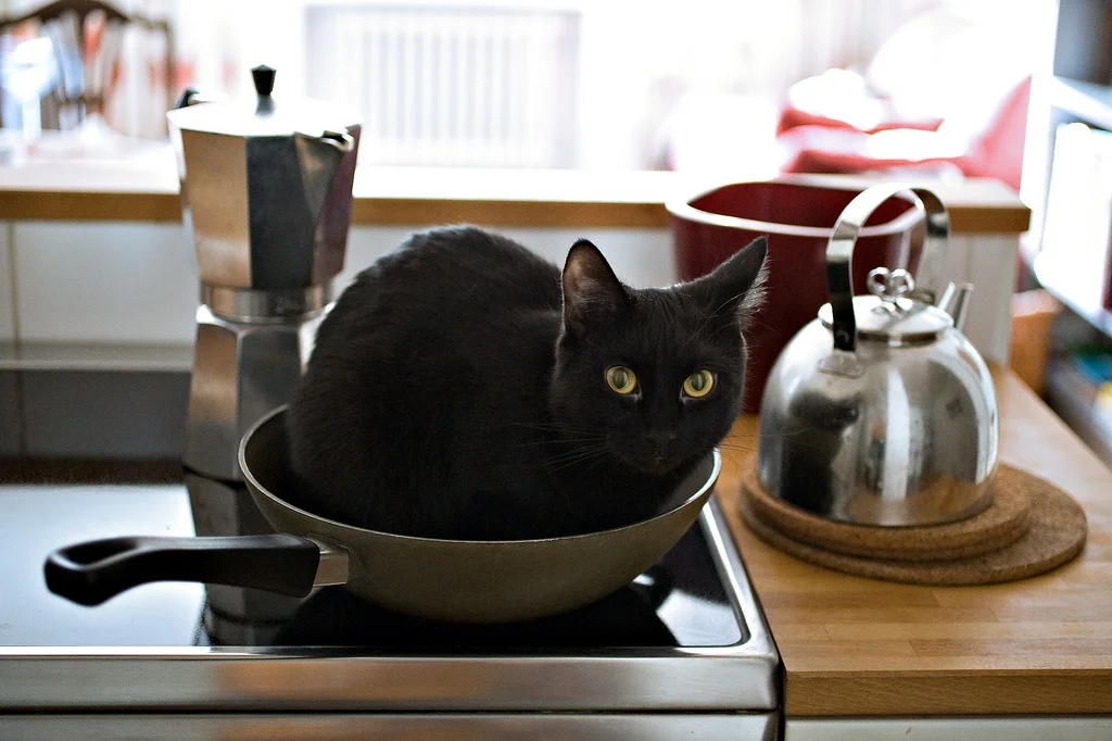 Notes from Crew Quarters: Writing Recipes