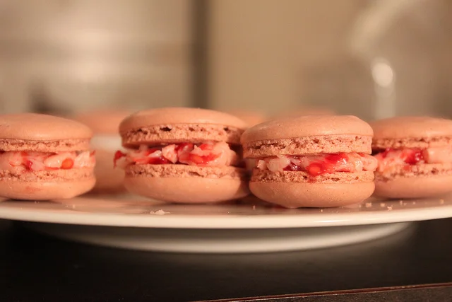 The Quiz and the Pledge by JoAnna Novak